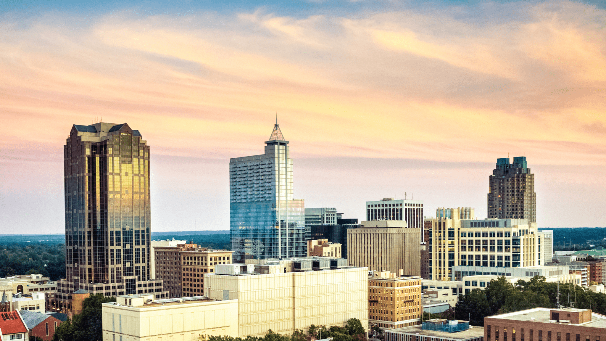 Pest Control in the Triangle Pest Control in the Triangle