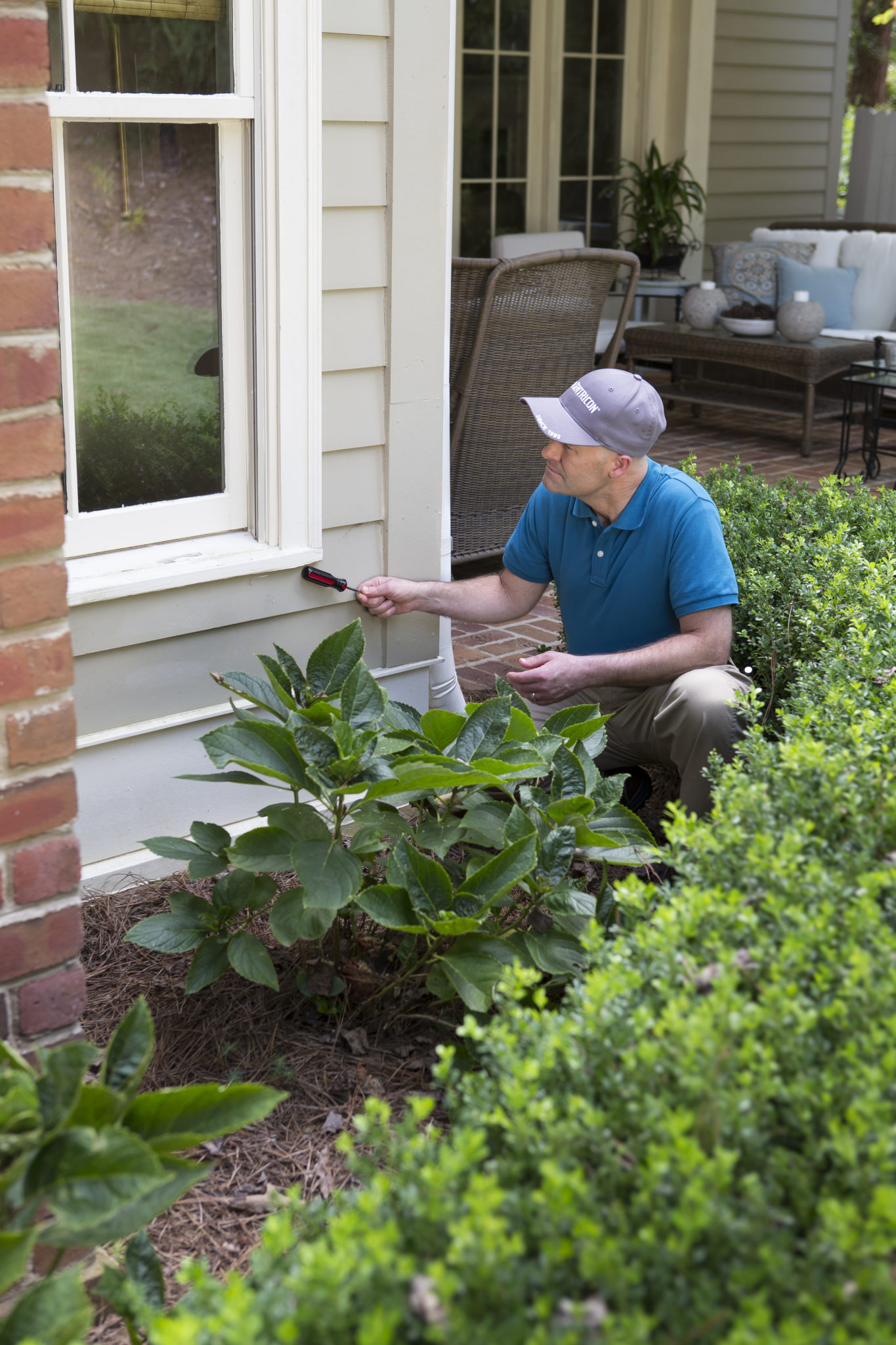 Termite Inspection Termite Inspection