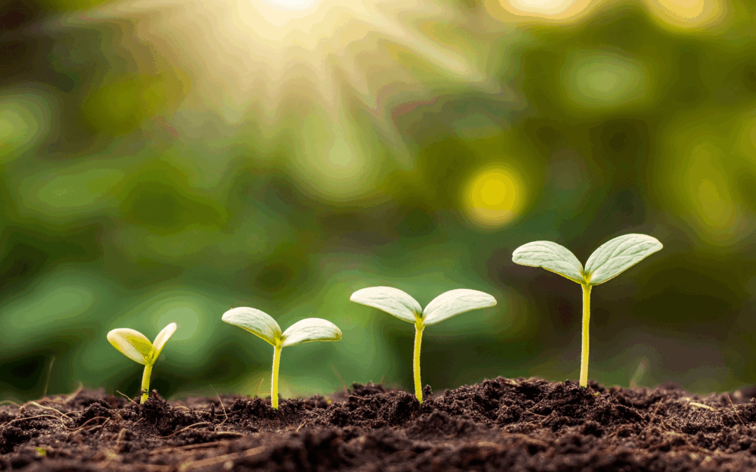 Earth Day, the Kind Way: 5 Small Acts That Make a Big Impact