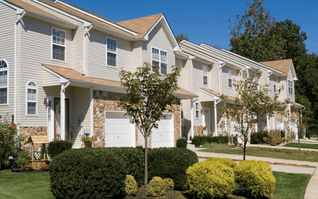Pest-Proofing for Renters: What You Can Do Without Breaking the Lease