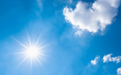 Hot Weather, Hidden Guests: The Summer Pests You Didn’t See Coming