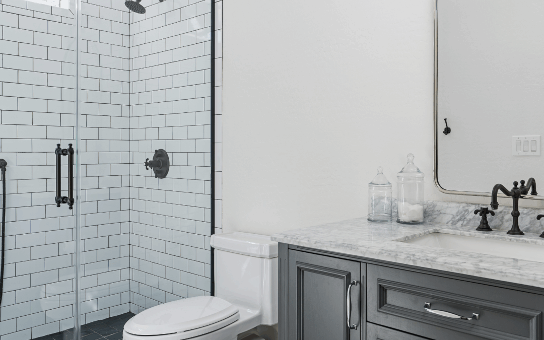 Bathroom Pest Control in North Carolina: Why Spiders, Ants, Termites and Other Unexpected Guests are Drawn to Moisture