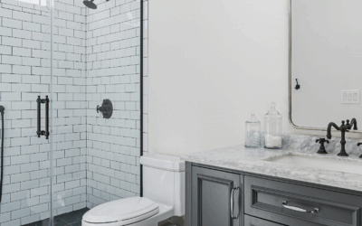 Bathroom Pest Control in North Carolina: Why Spiders, Ants, Termites and Other Unexpected Guests are Drawn to Moisture