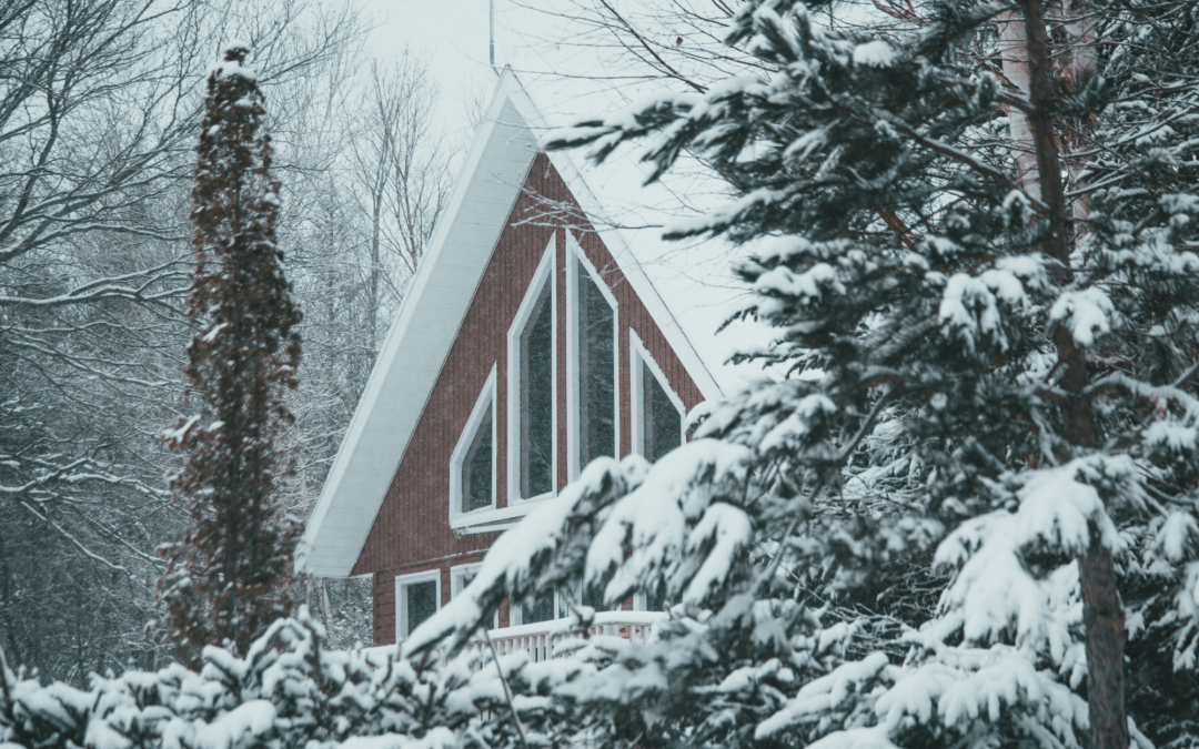 Winter Pest Control in North Carolina: Protecting Your Home Before the Cold Sets In