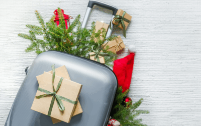 Holiday Travel Pest Tips: How to Stay Pest-Free Before, During, and After Your Trip