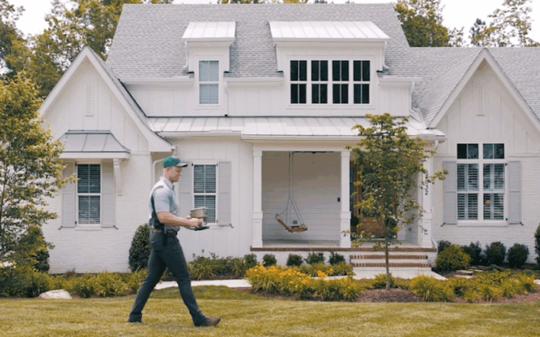 Why Quarterly Pest Control Is Kinder for Your Home and Your Peace of Mind