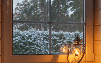 Common Bugs That Come Through Windows in North Carolina (and How to Keep Them Out)