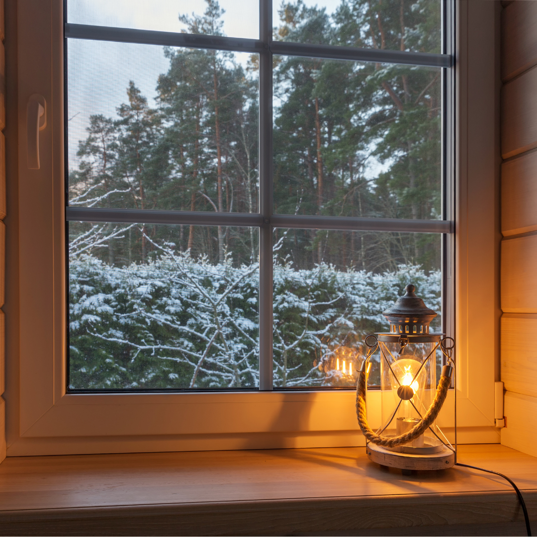 pest control for bugs coming through windows