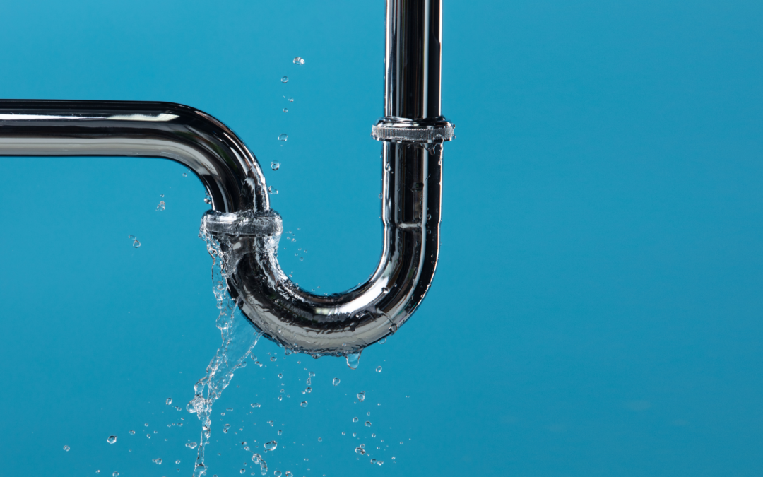 Why Pest Problems Aren’t Random (and How to Stay One Step Ahead)