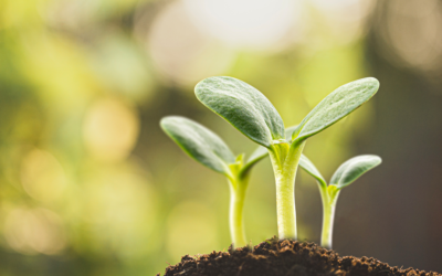 Earth Day, the Kind Way: Smarter, Safer Pest Control for Your Home and the Planet