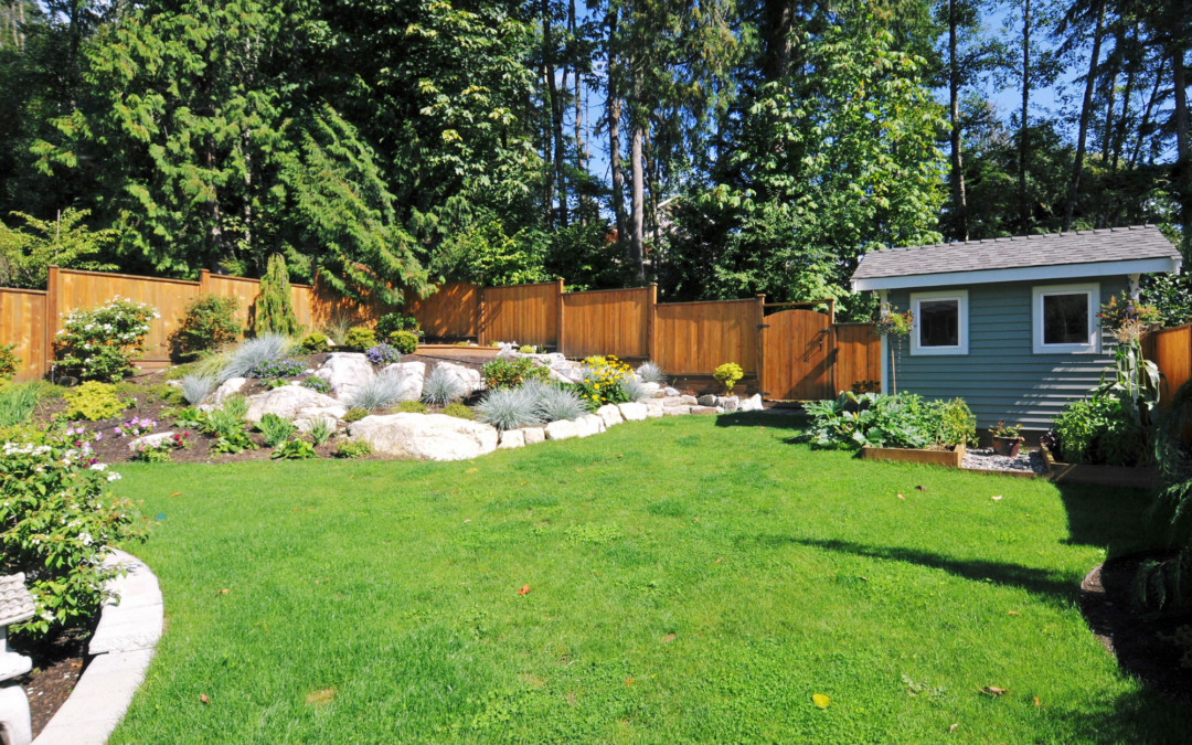 Creating a Pest-Free Backyard for Summer Gatherings in North Carolina