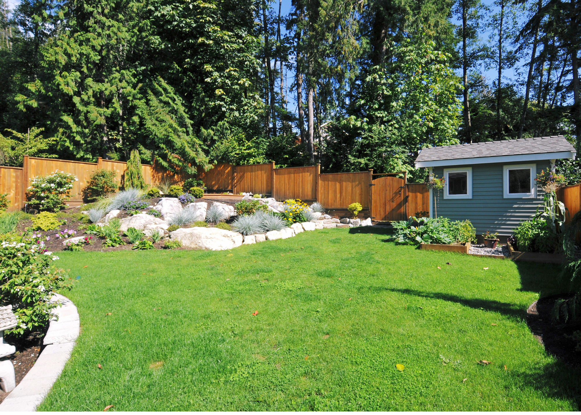 Summer back yard